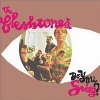 The Fleshtones : Do You Swing?